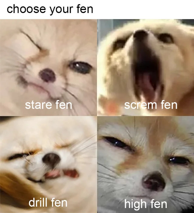 Picture of a fennec fox