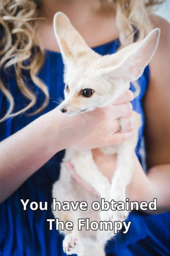 Picture of a fennec fox