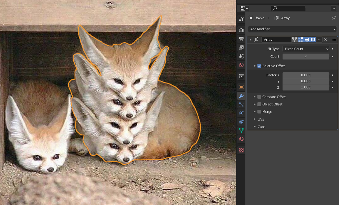 Picture of a fennec fox